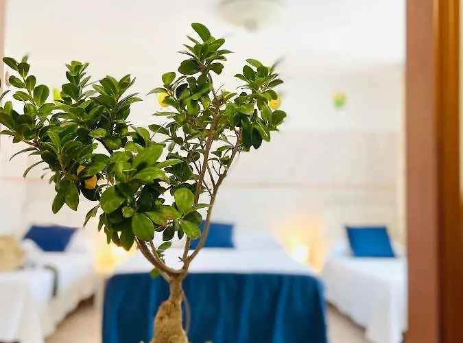 Casa Della Frutta Anacapri (Isola di Capri)