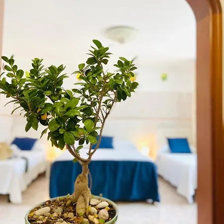 Casa Della Frutta 아나카프리